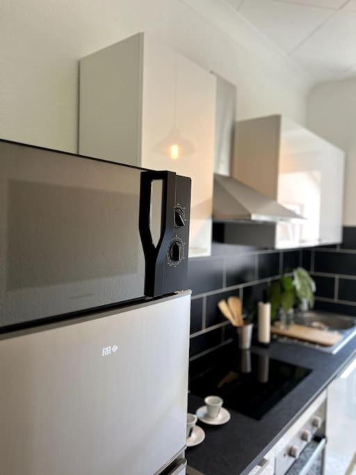 Appartement Cosy Et Lumineux Avec Parking Gratuit Colmar Eksteriør billede