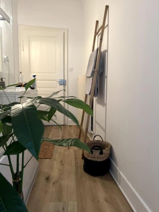 Appartement Cosy Et Lumineux Avec Parking Gratuit Colmar Eksteriør billede