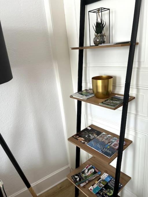Appartement Cosy Et Lumineux Avec Parking Gratuit Colmar Eksteriør billede