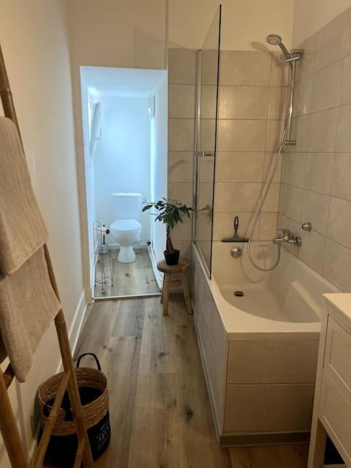Appartement Cosy Et Lumineux Avec Parking Gratuit Colmar Eksteriør billede