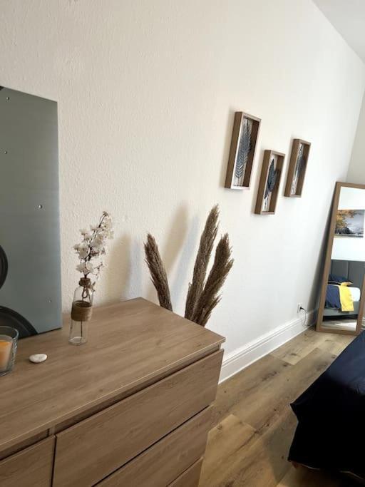 Appartement Cosy Et Lumineux Avec Parking Gratuit Colmar Eksteriør billede