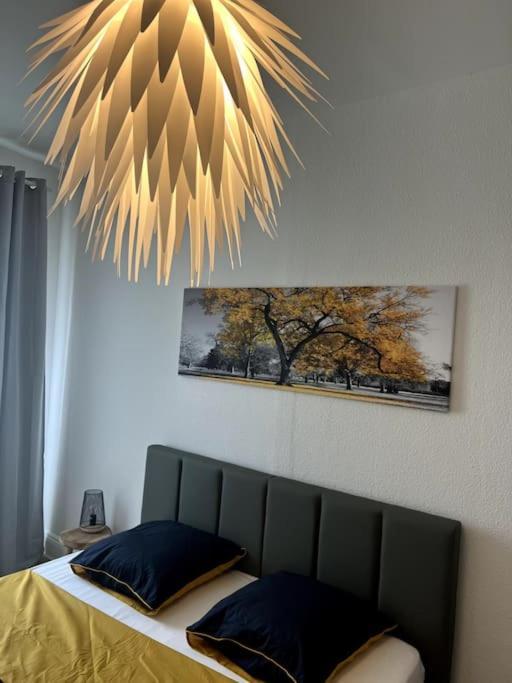Appartement Cosy Et Lumineux Avec Parking Gratuit Colmar Eksteriør billede